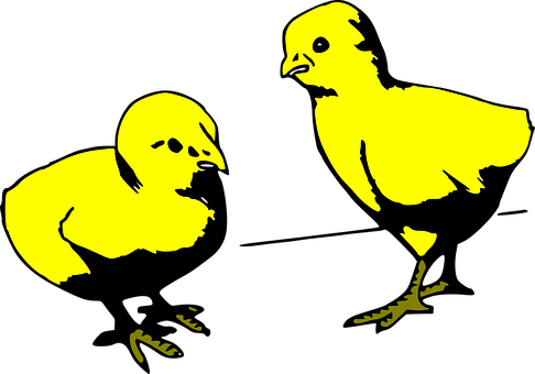 Yellow Chicks Silhouette PNG