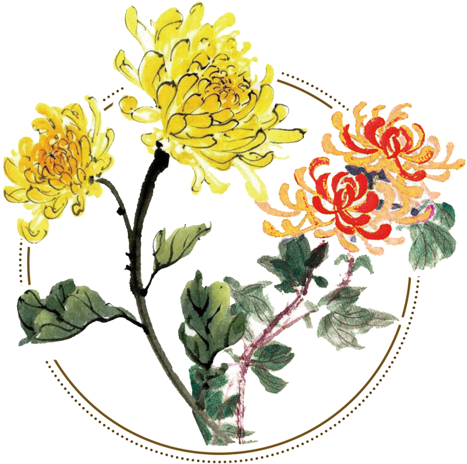 Yellow Chrysanthemums Artistic Illustration PNG