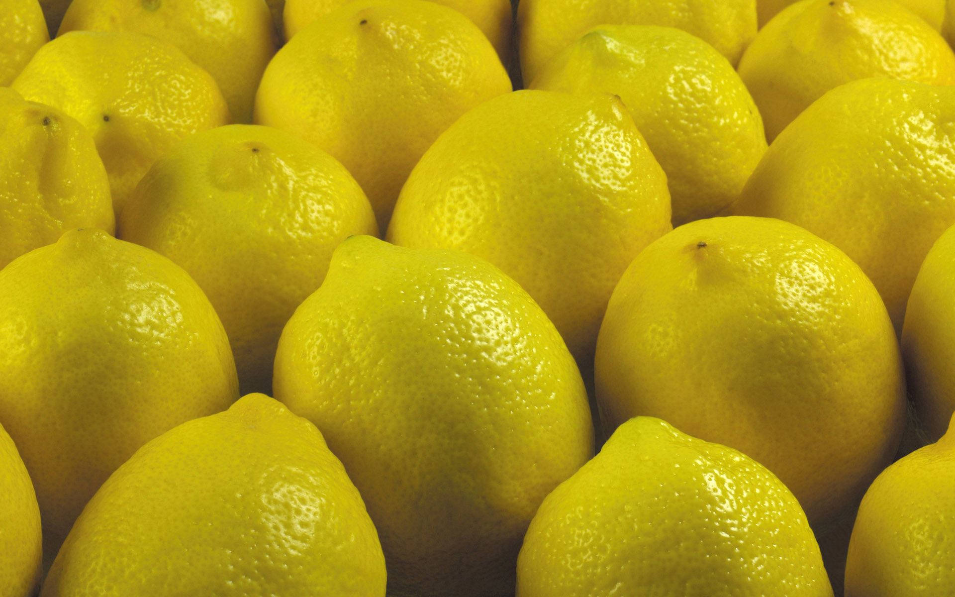 Yellow Citrus Lemons Wallpaper