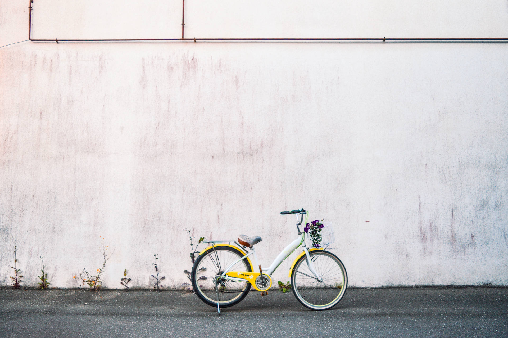 Yellow City Bike Near White Wall Wallpaper