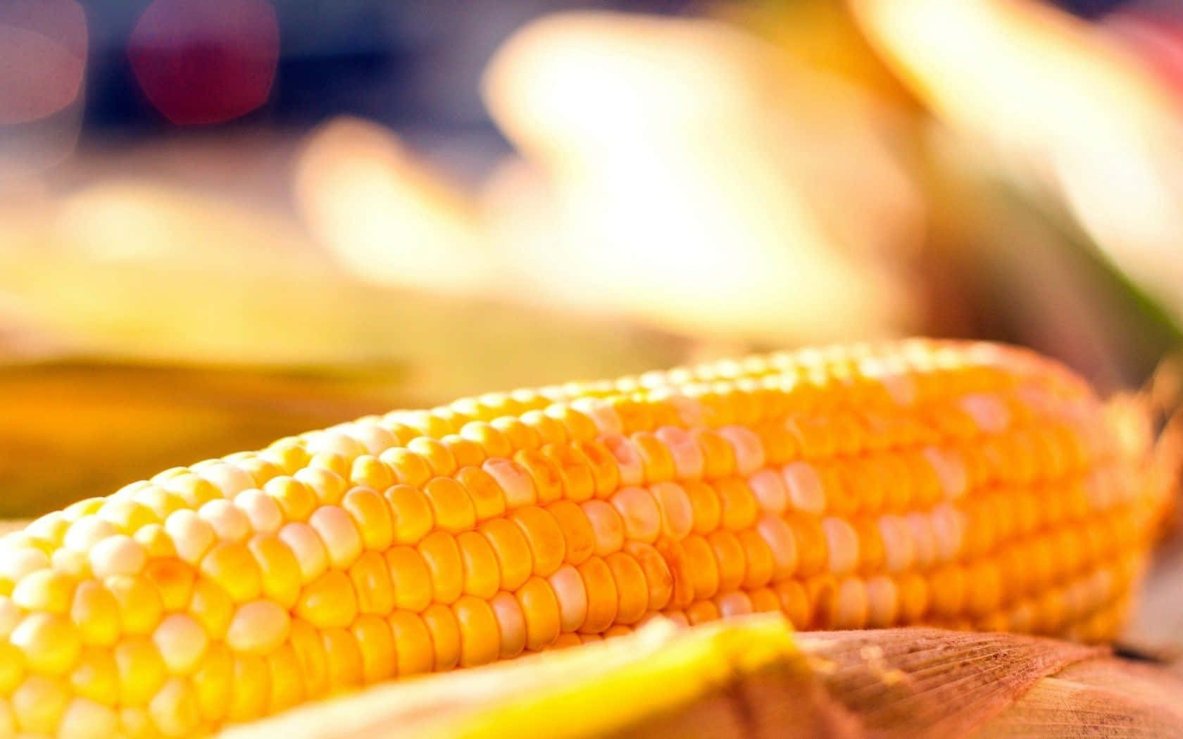 Impactantefotografía De Primer Plano De Vibrantes Granos De Maíz Amarillo. Fondo de pantalla