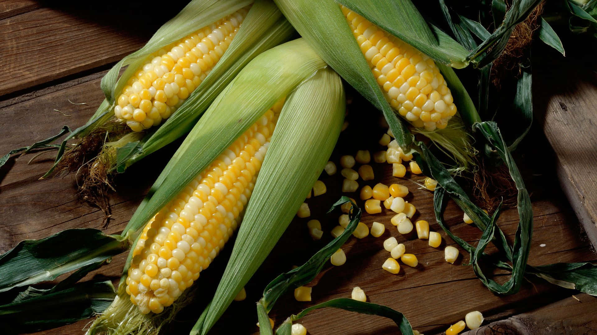 Vibrant Yellow Corn in a Field Wallpaper