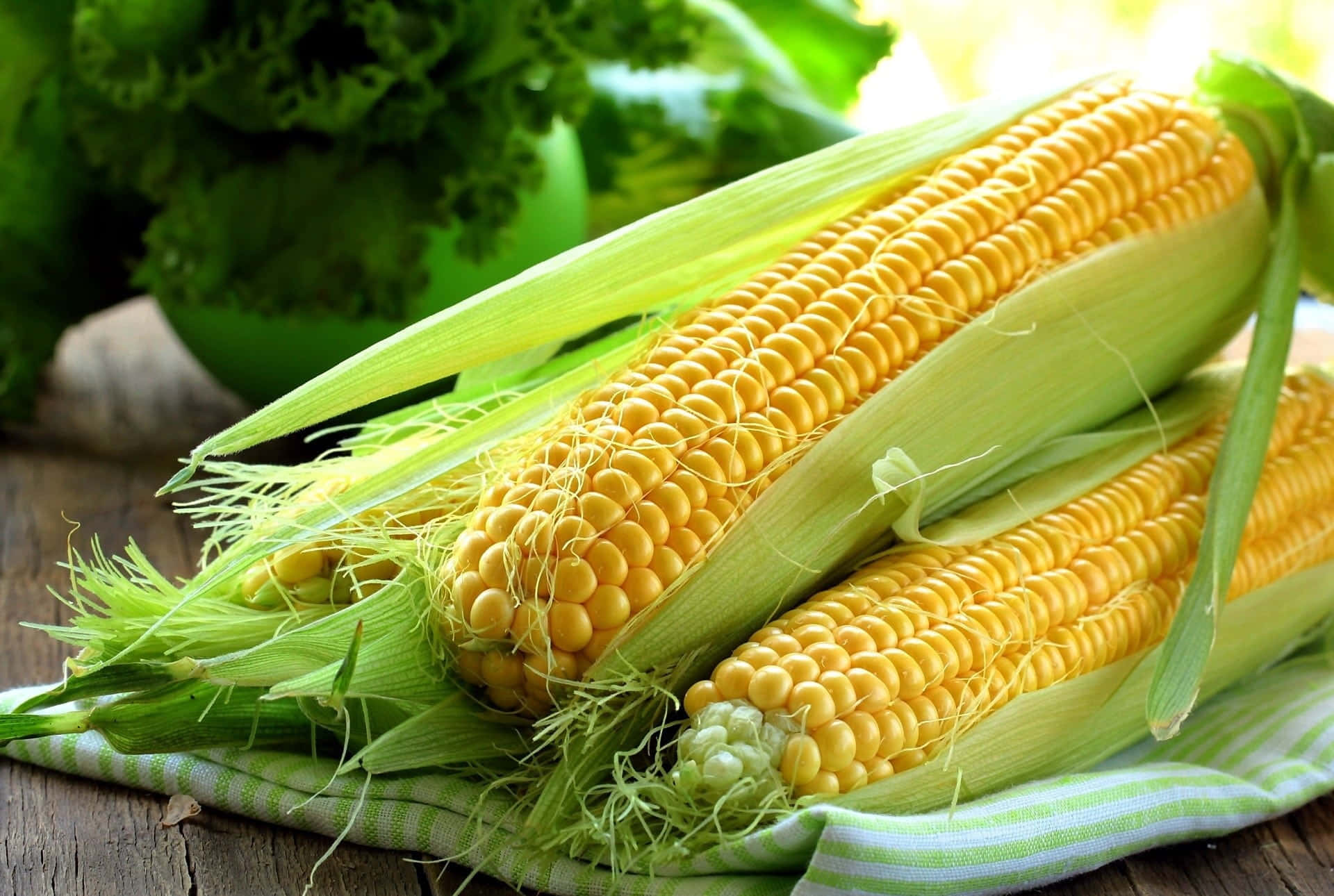 A close-up of vibrant yellow corn kernels on the cob Wallpaper