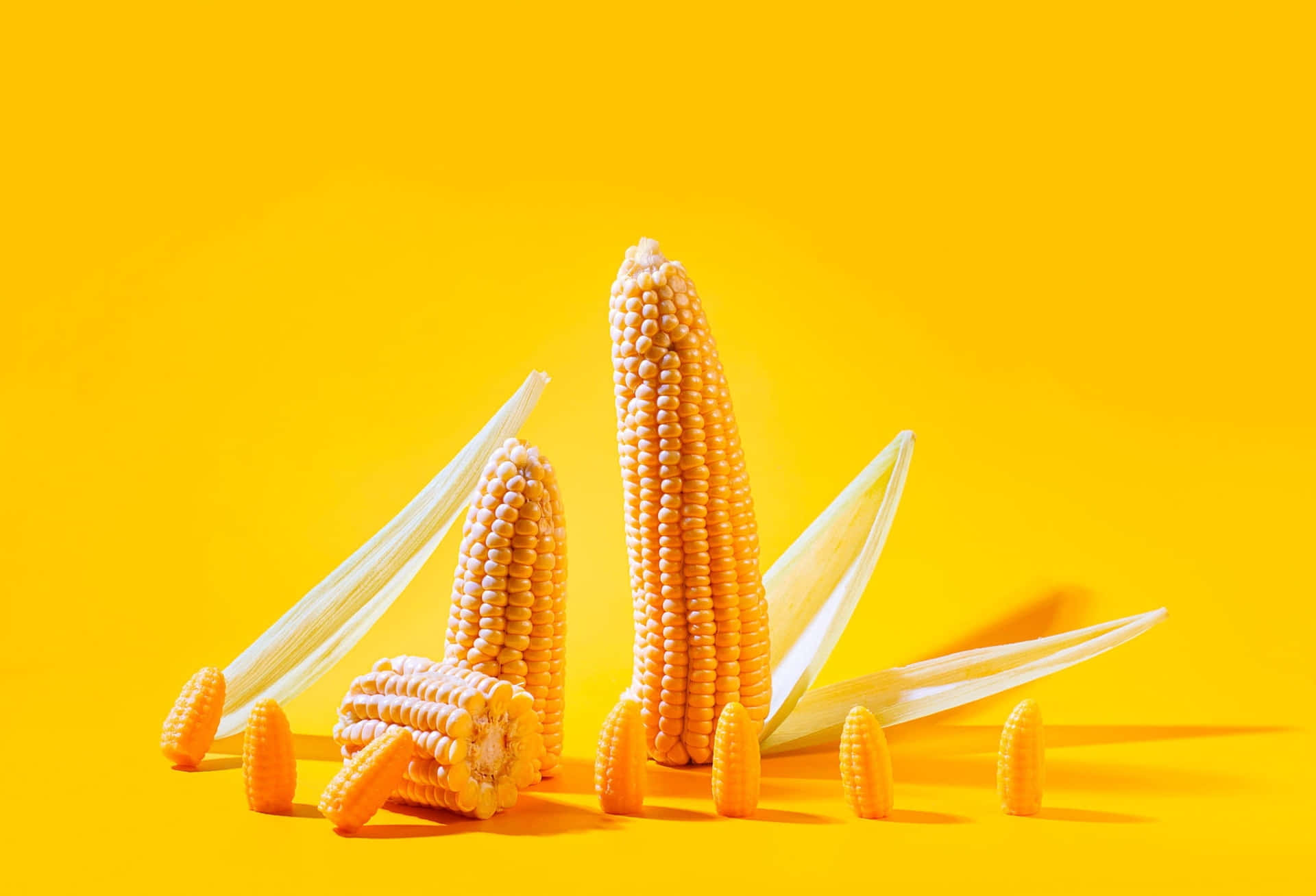 Caption: A Vibrant Collection of Fresh Yellow Corn Wallpaper