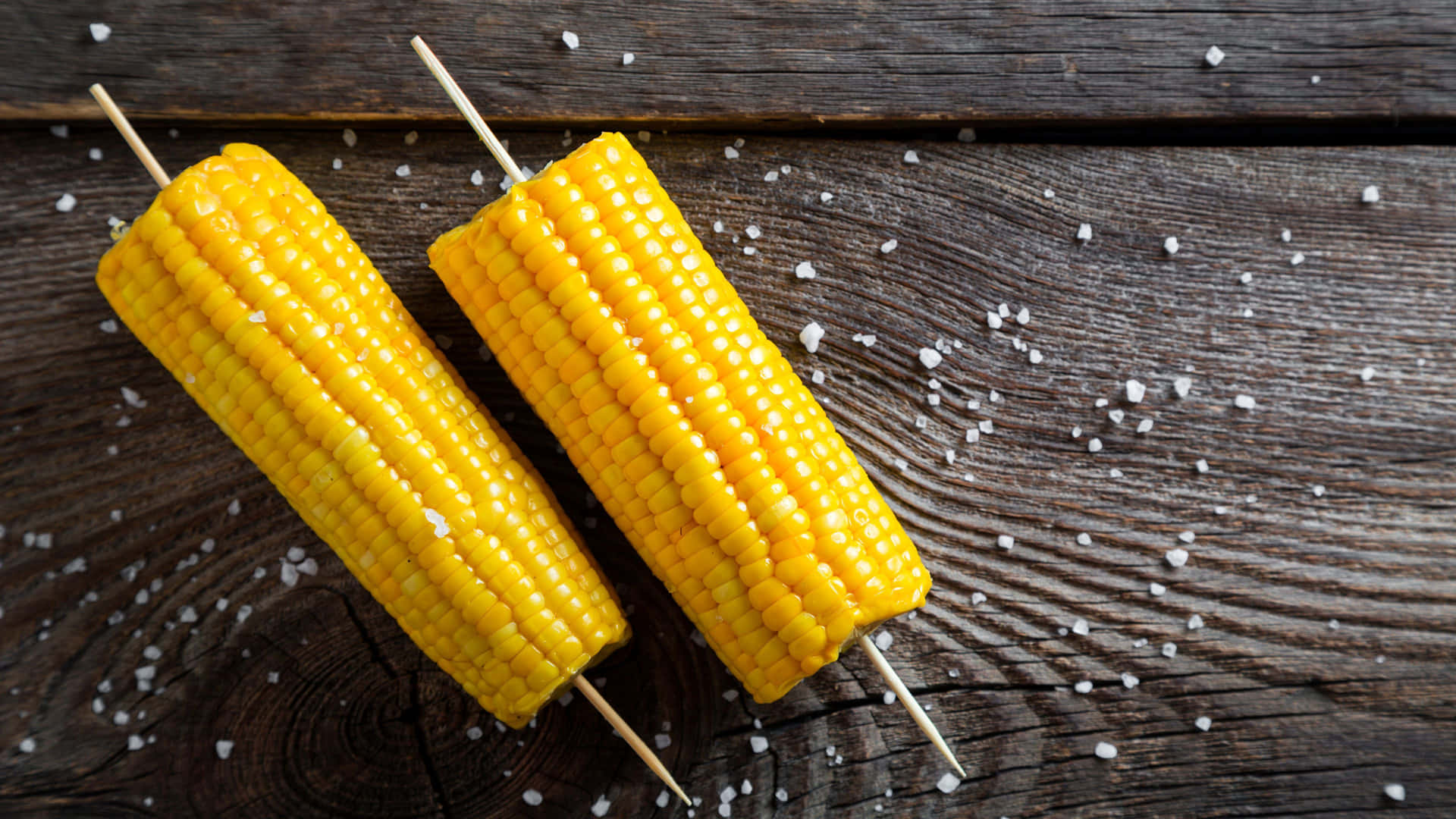 Vibrant Yellow Corn on a Cob Wallpaper