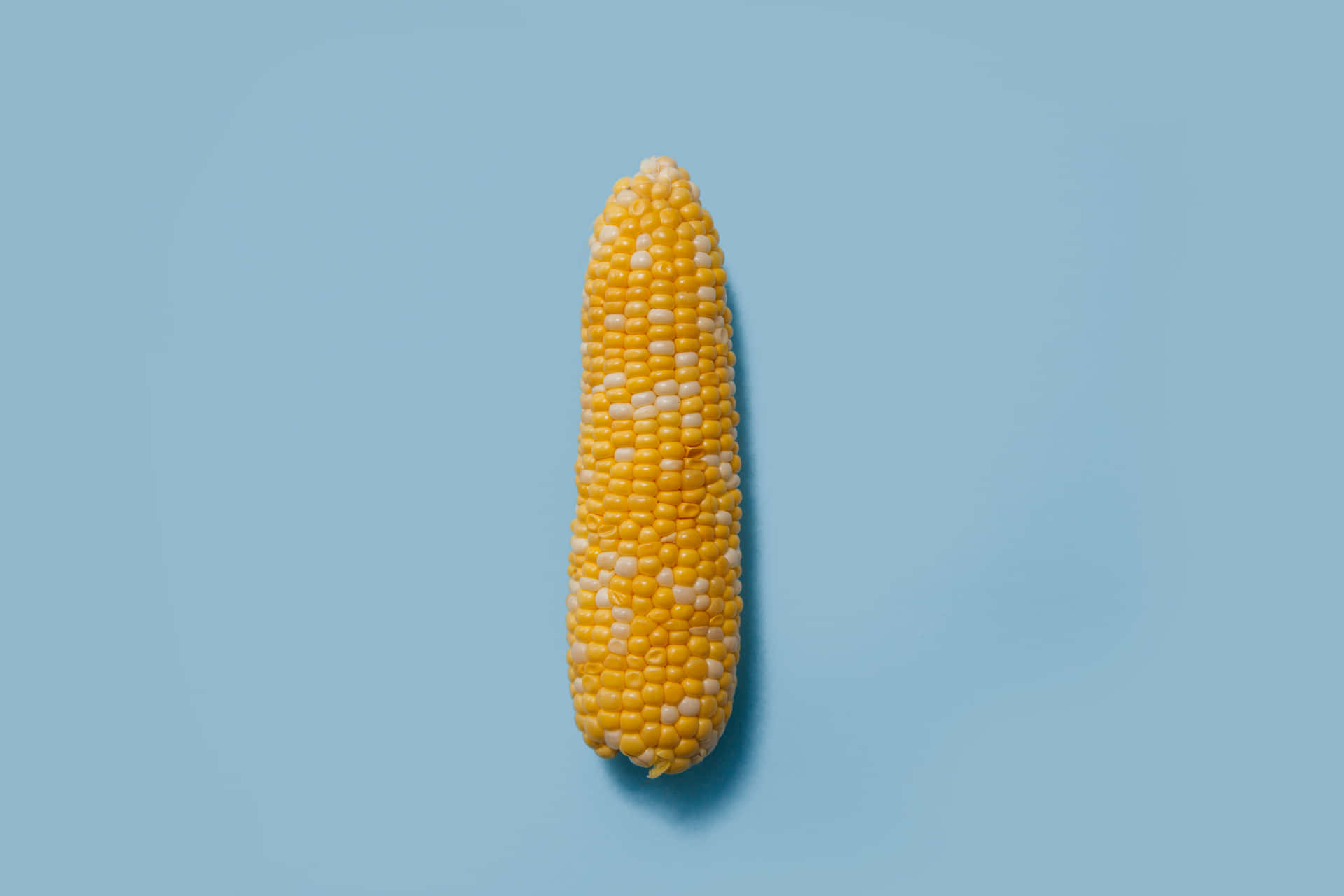 Corn на русском. Гетерозис кукурузы. Пробка из кукурузы. Кукуруза картинка для детей. Кукуруза для похудения.