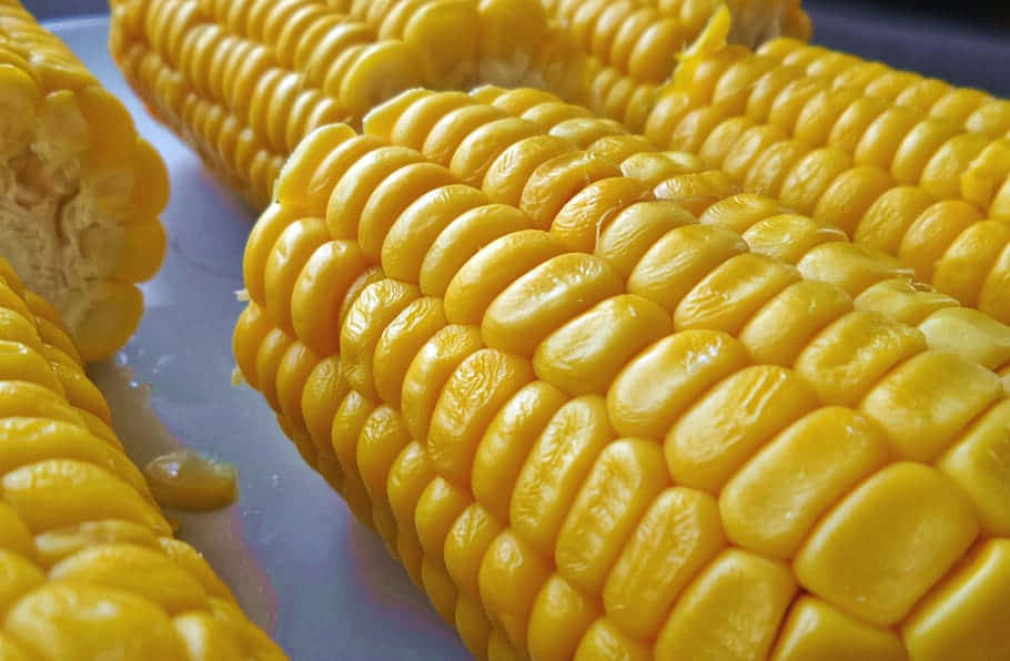 "A close-up of vibrant yellow corn kernels on the cob" Wallpaper