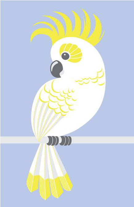Yellow Crested Cockatoo Illustration PNG