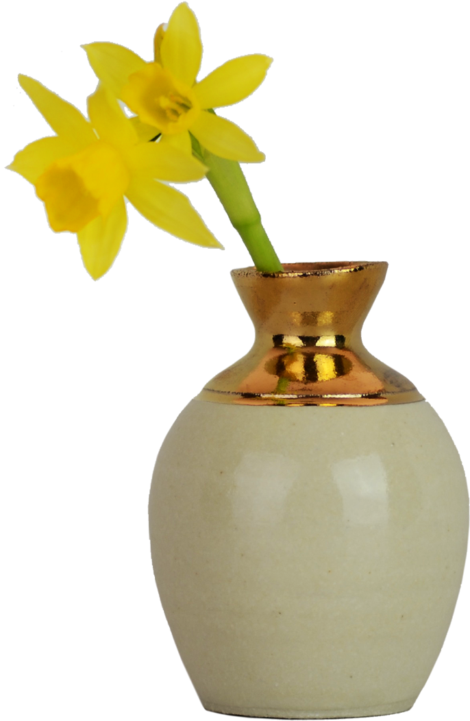 Yellow Daffodilin Vase PNG