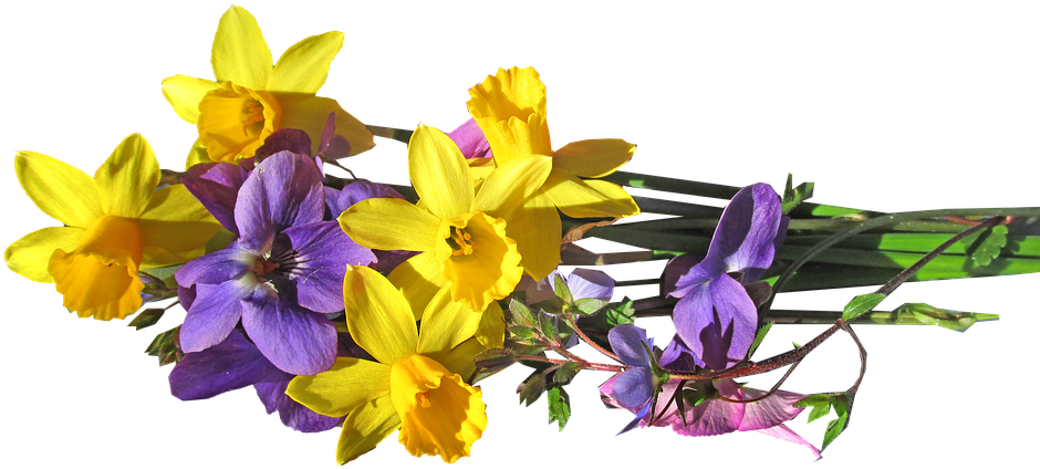 Yellow Daffodils Purple Flowers Bouquet PNG
