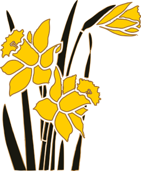 Yellow Daffodils Vector Art PNG