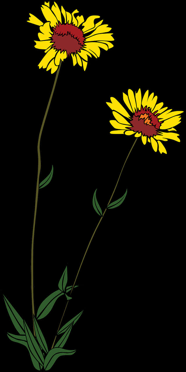 Yellow Daisies Vector Illustration PNG
