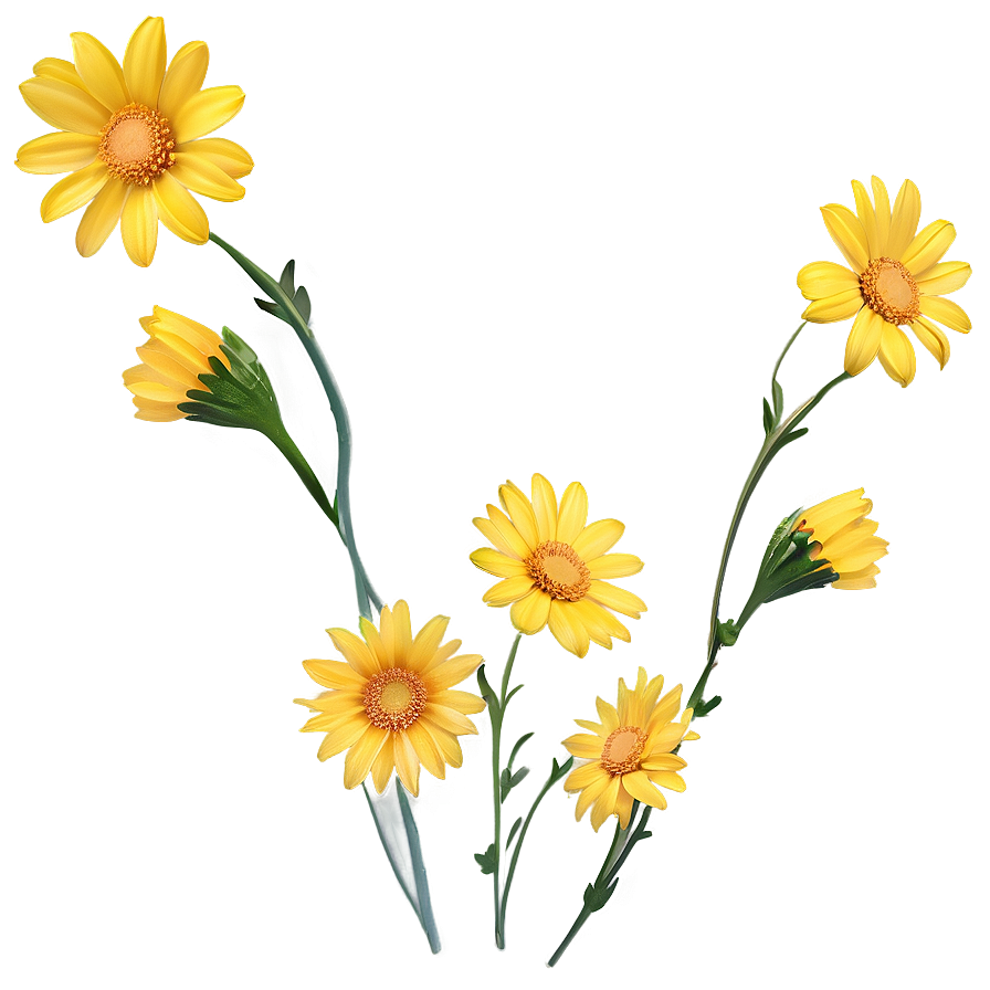 Yellow Daisy Flowers Png 58 PNG