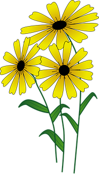 Yellow Daisy Illustration PNG