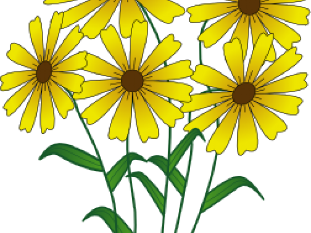 Yellow Daisy Vector Illustration PNG