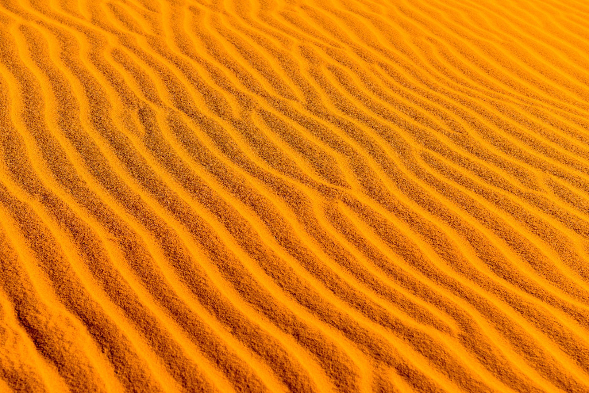 Serene Undulating Sand Dunes of the Desert Wallpaper