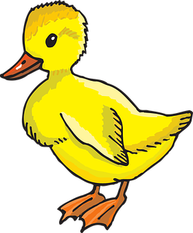 Yellow Duckling Cartoon Illustration PNG