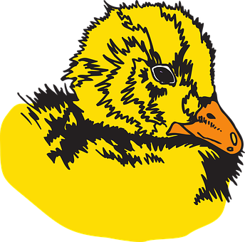 Yellow Duckling Illustration PNG