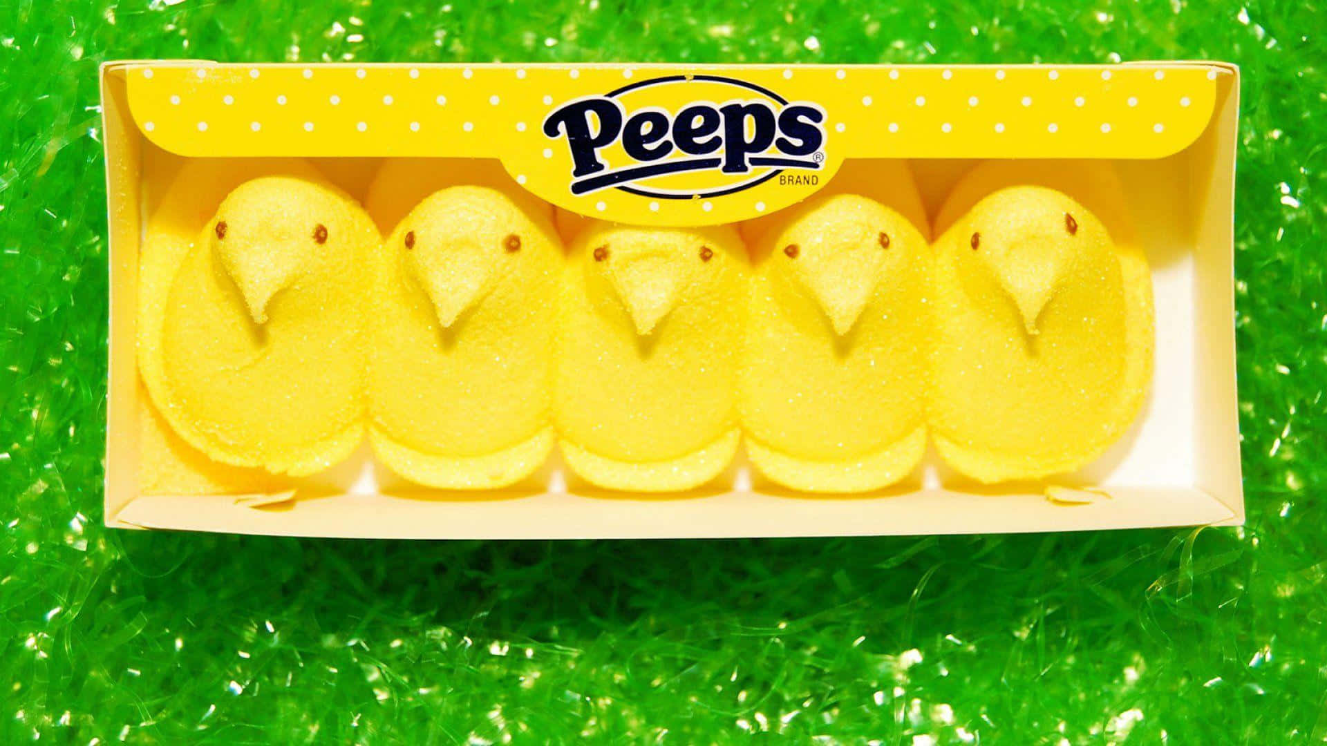 Yellow Easter Peeps Chicks Wallpaper