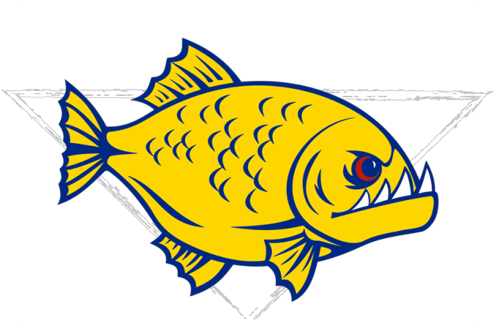 Yellow Fish Cartoon Artwork PNG
