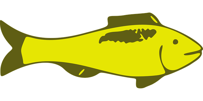 Yellow Fish Graphic PNG