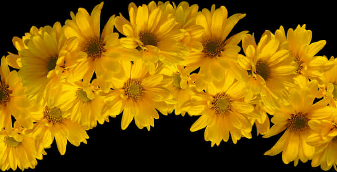 Yellow Floral Crownon Black Background PNG