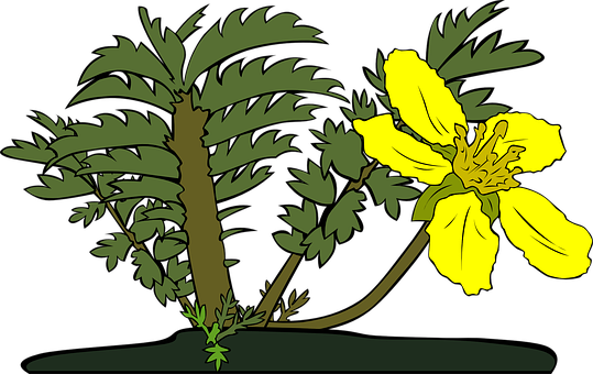 Yellow_ Flower_and_ Green_ Foliage_ Vector PNG