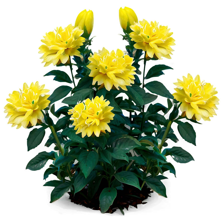 Yellow Flower Bush Png 32 PNG