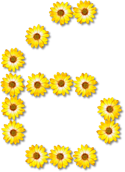 Yellow Flower Letter B Design PNG