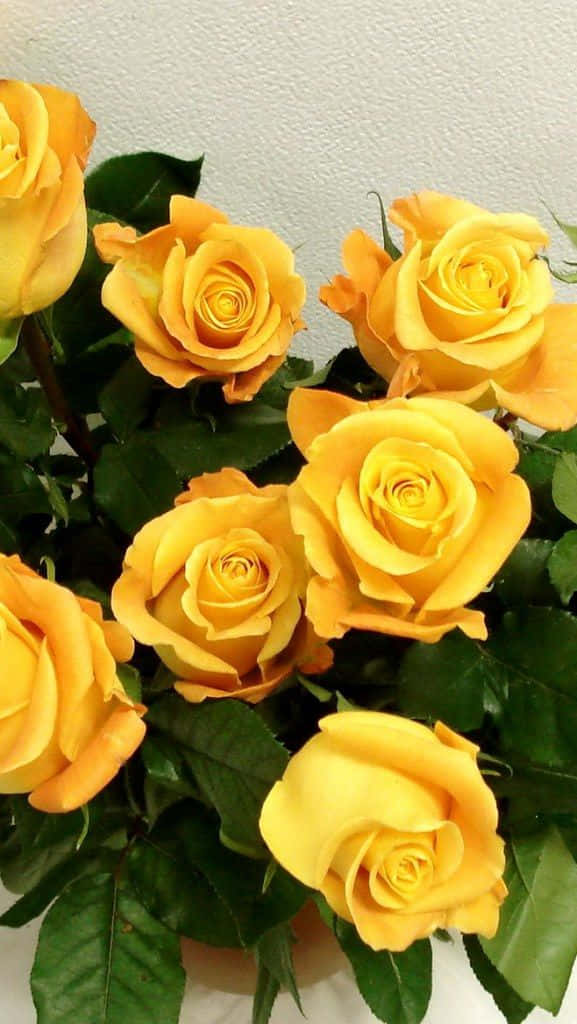 Enbild På En Drös Av Gula Rosblommor. (a Picture Of A Bunch Of Yellow Rose Flowers.)