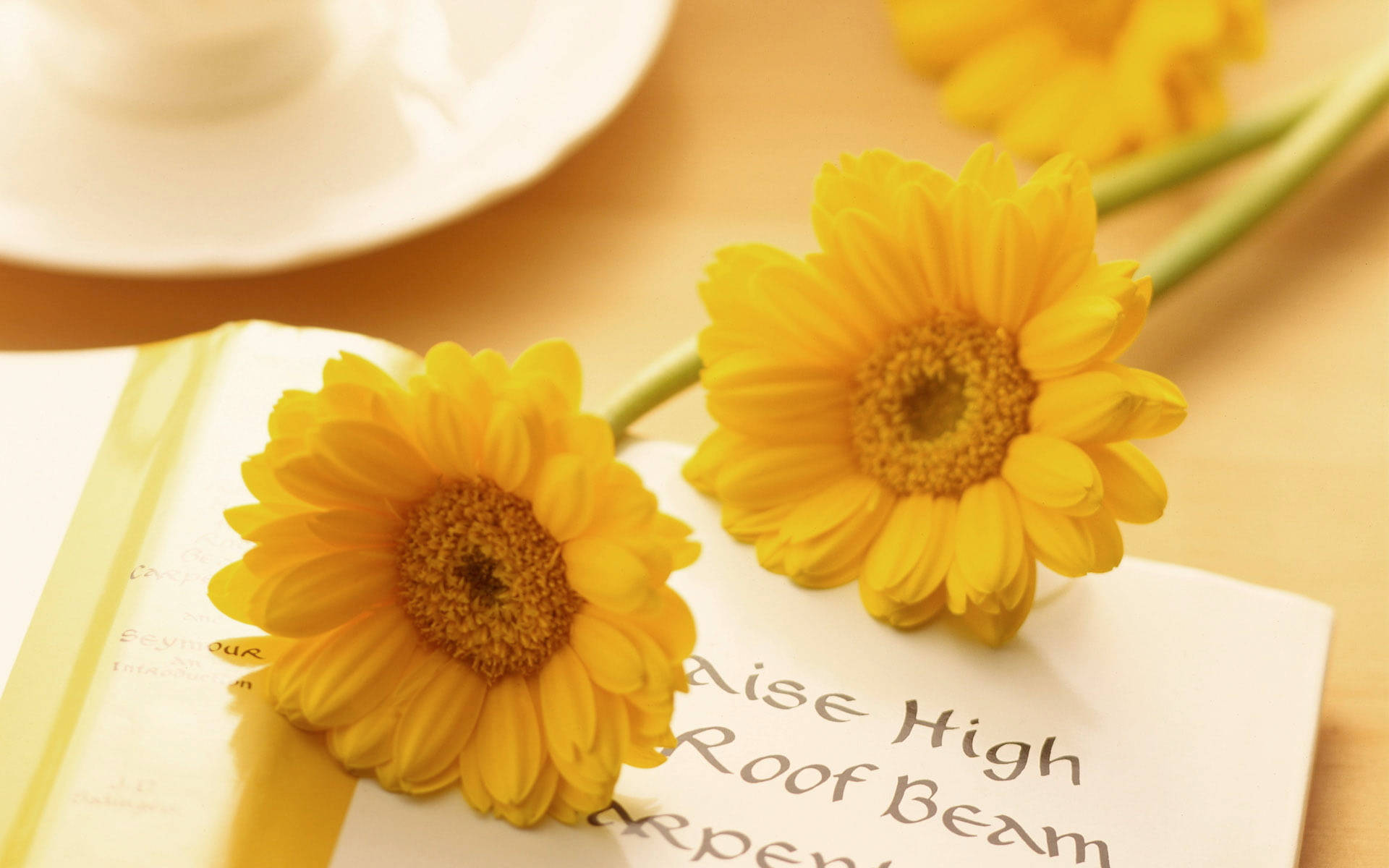 Gelbeblumen Mit Süßer Schrift Wallpaper