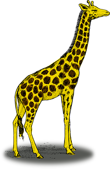 Yellow Giraffe Graphic Illustration PNG