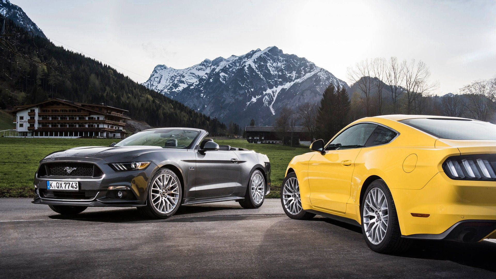 Yellow Grey Convertible Ford Mustangs