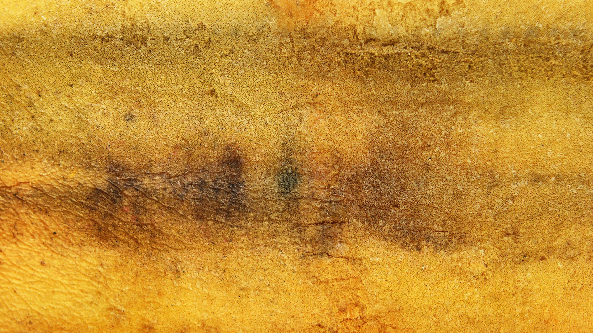 Grunge Yellow Texture: A Vibrant and Rough Background