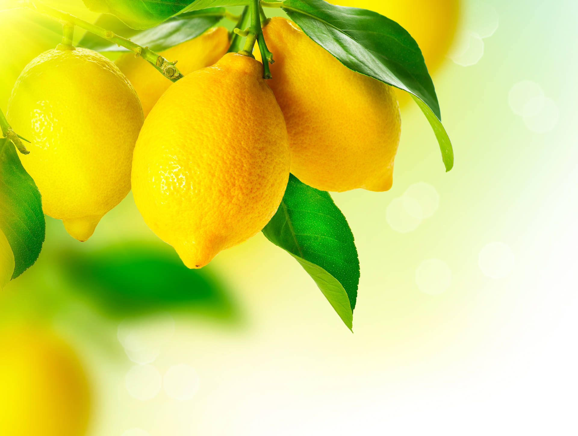 Yellow Hd Lemon Fruit