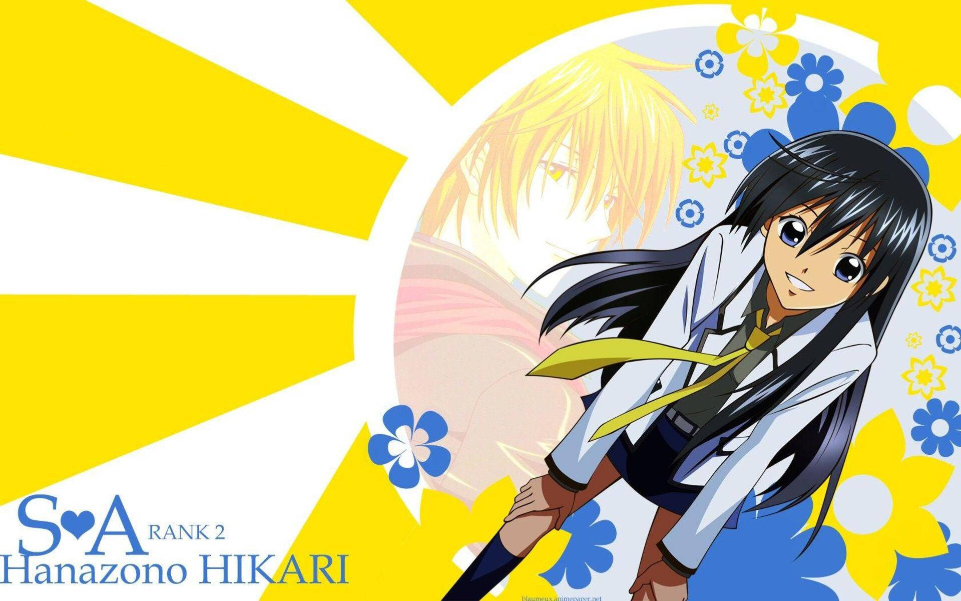 Yellow Hikari Hanazono Special A Picture