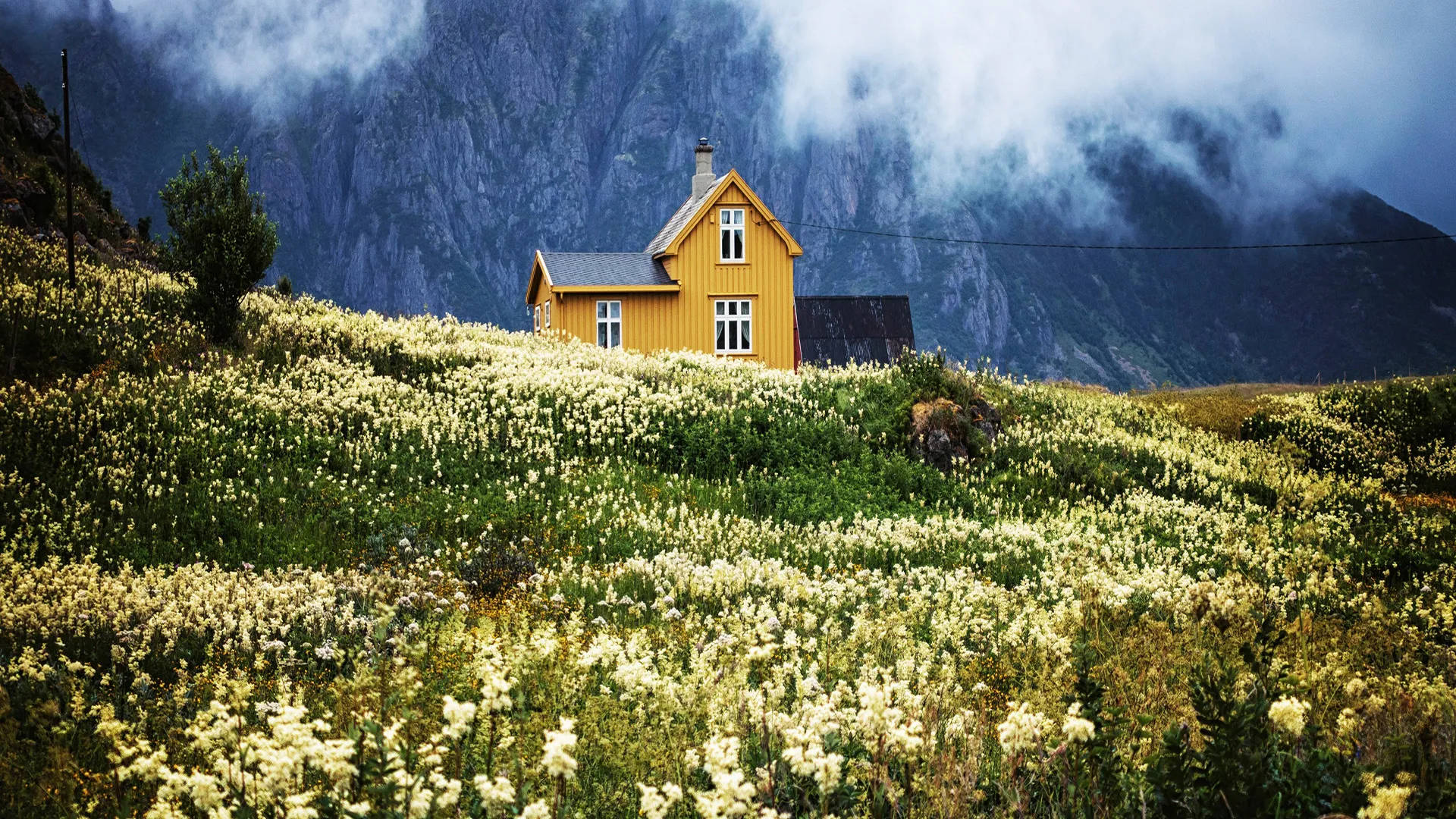 Spring Desktop And iPhone Wallpaper - House of Hawthornes