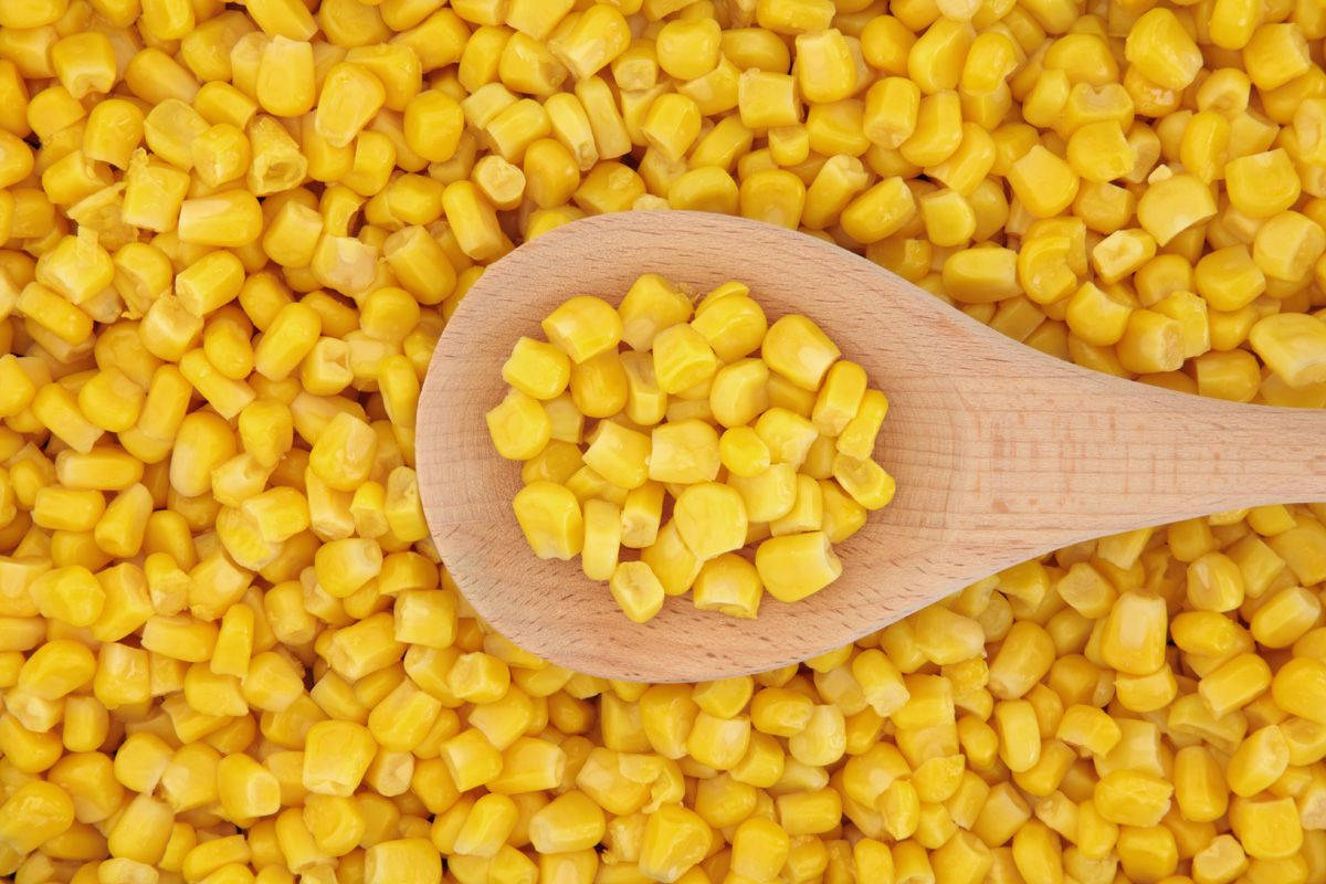Yellow Kernel Corns On Ladle Wallpaper