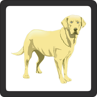 Yellow Labrador Retriever Illustration PNG