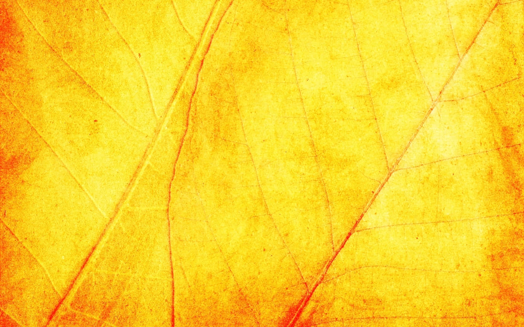 Beautiful Yellow Leaves on a Branch Wallpaper