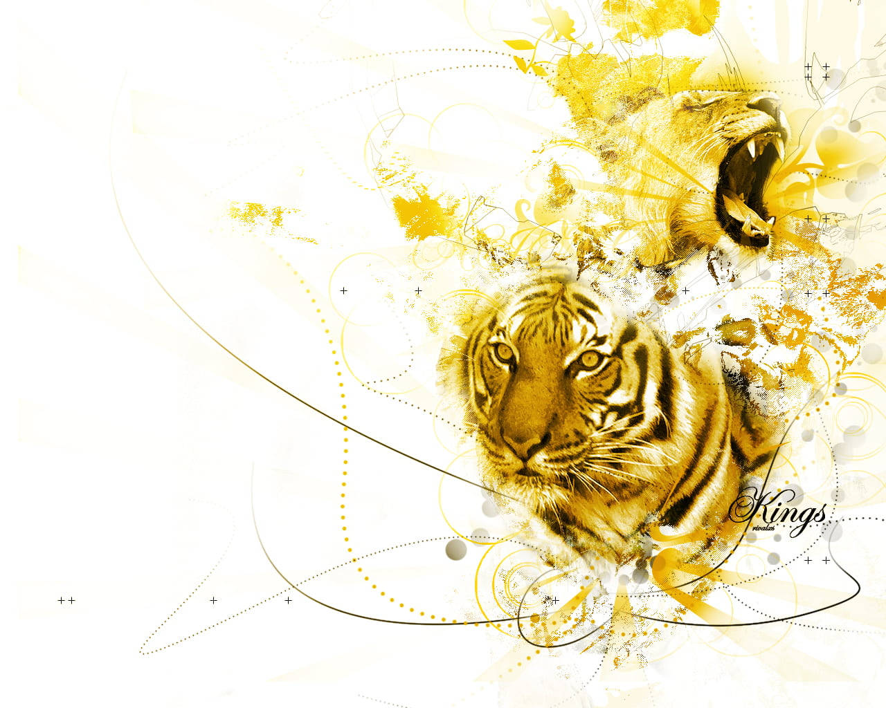 Yellow Lion And Tiger Background