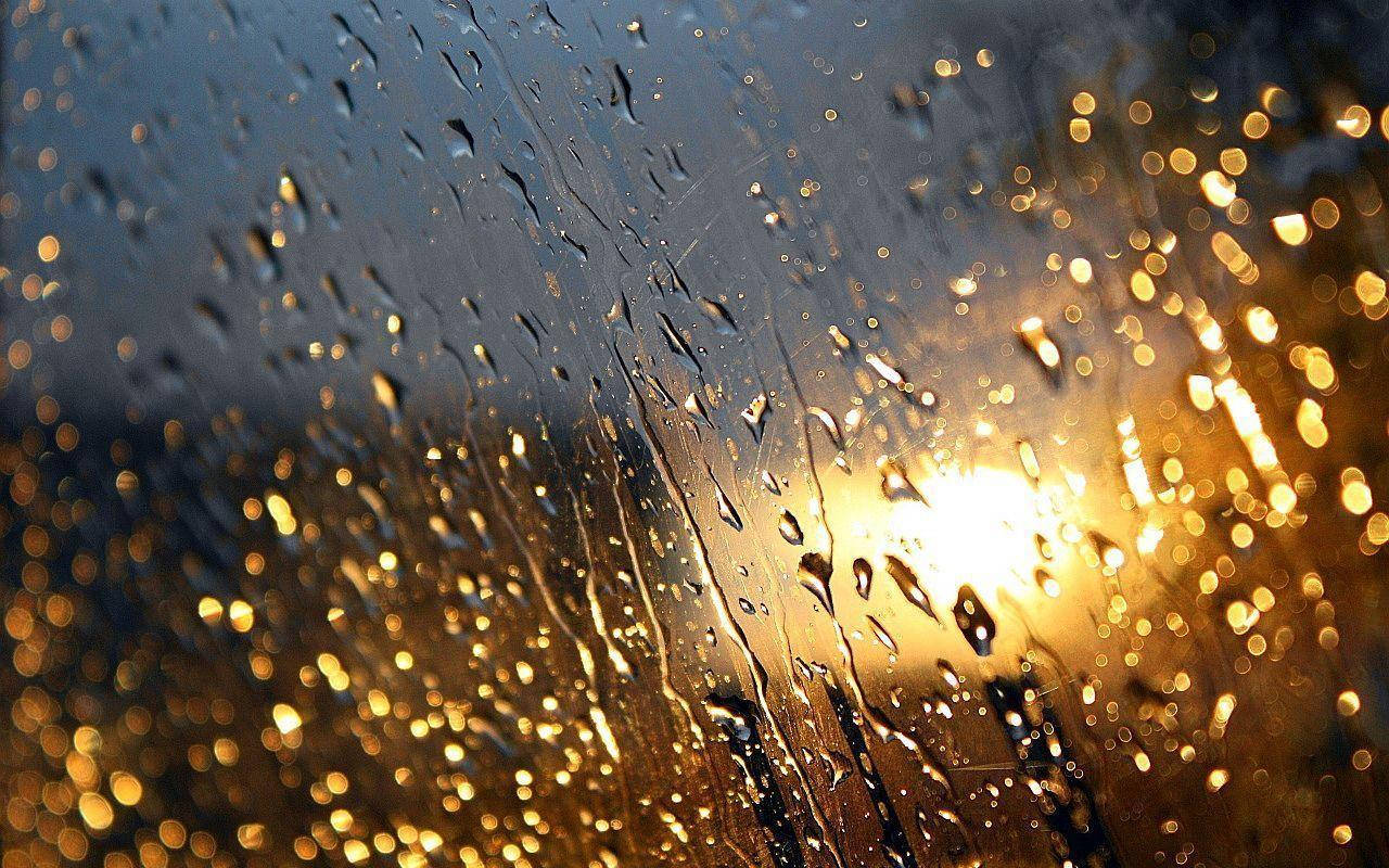 Yellow Lit Glass Most Beautiful Rain