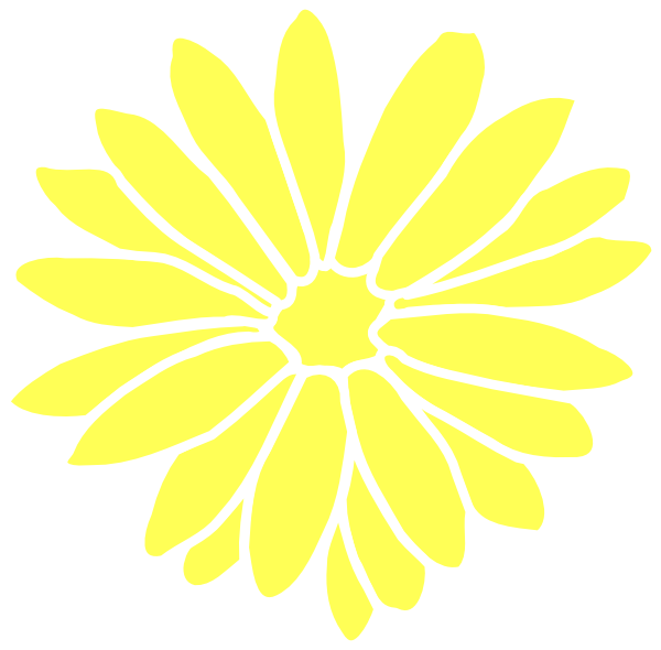 Yellow Marguerite Flower Illustration PNG