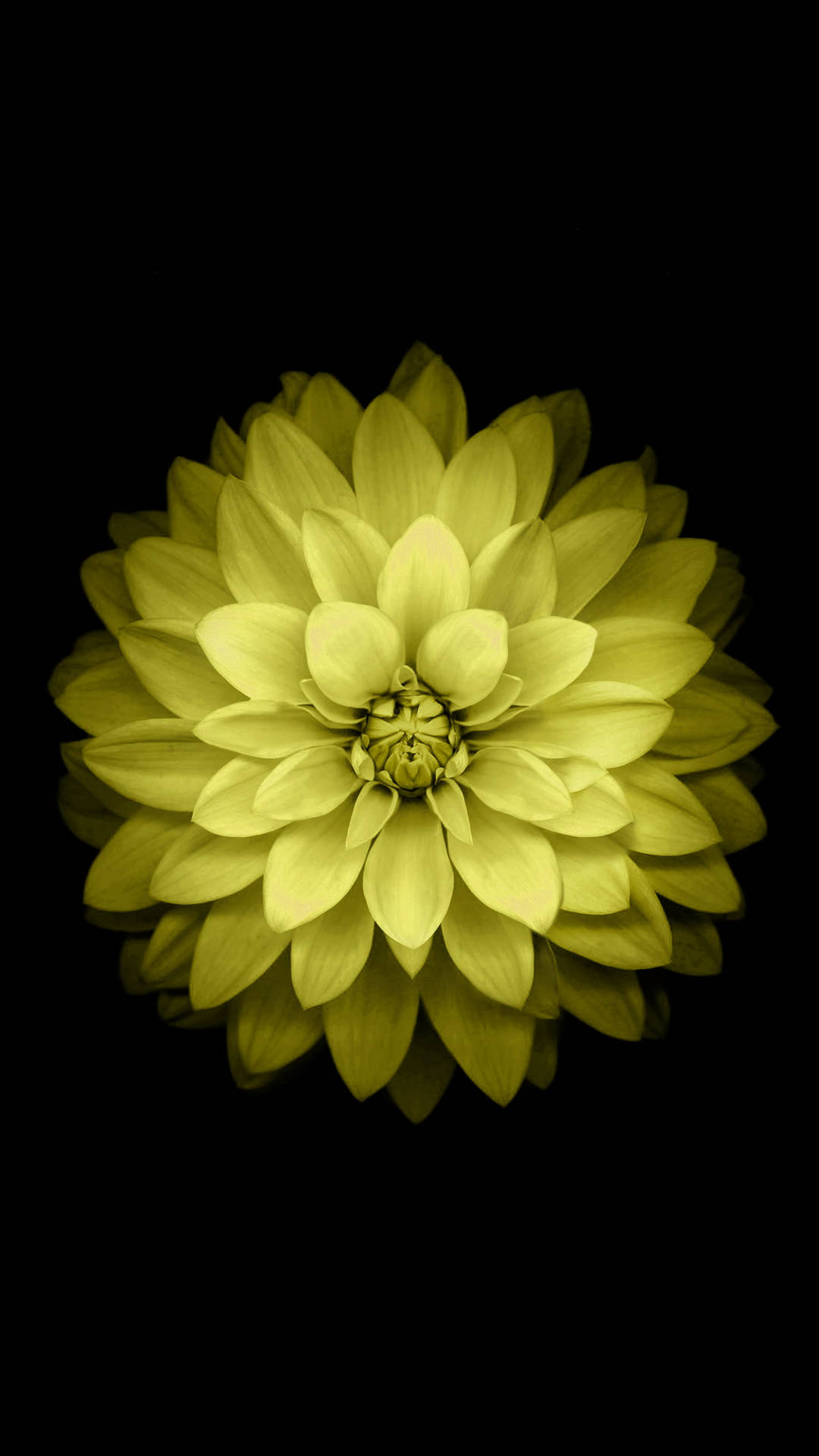 Yellow Minimalist Flower Mobile