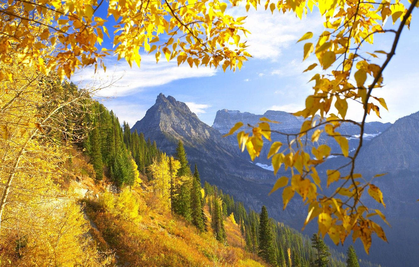 Yellow Montana Mountain Wallpaper