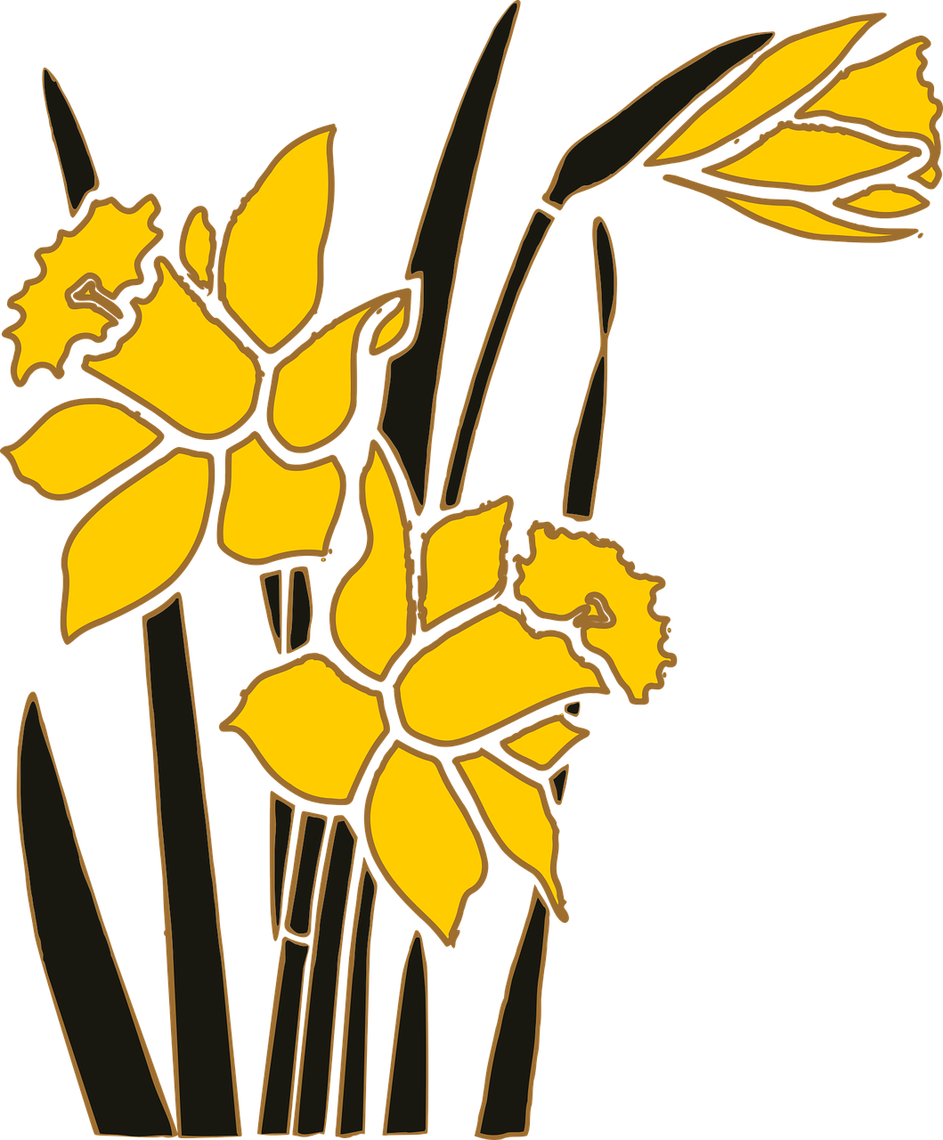 Yellow Narcissus Floral Illustration PNG