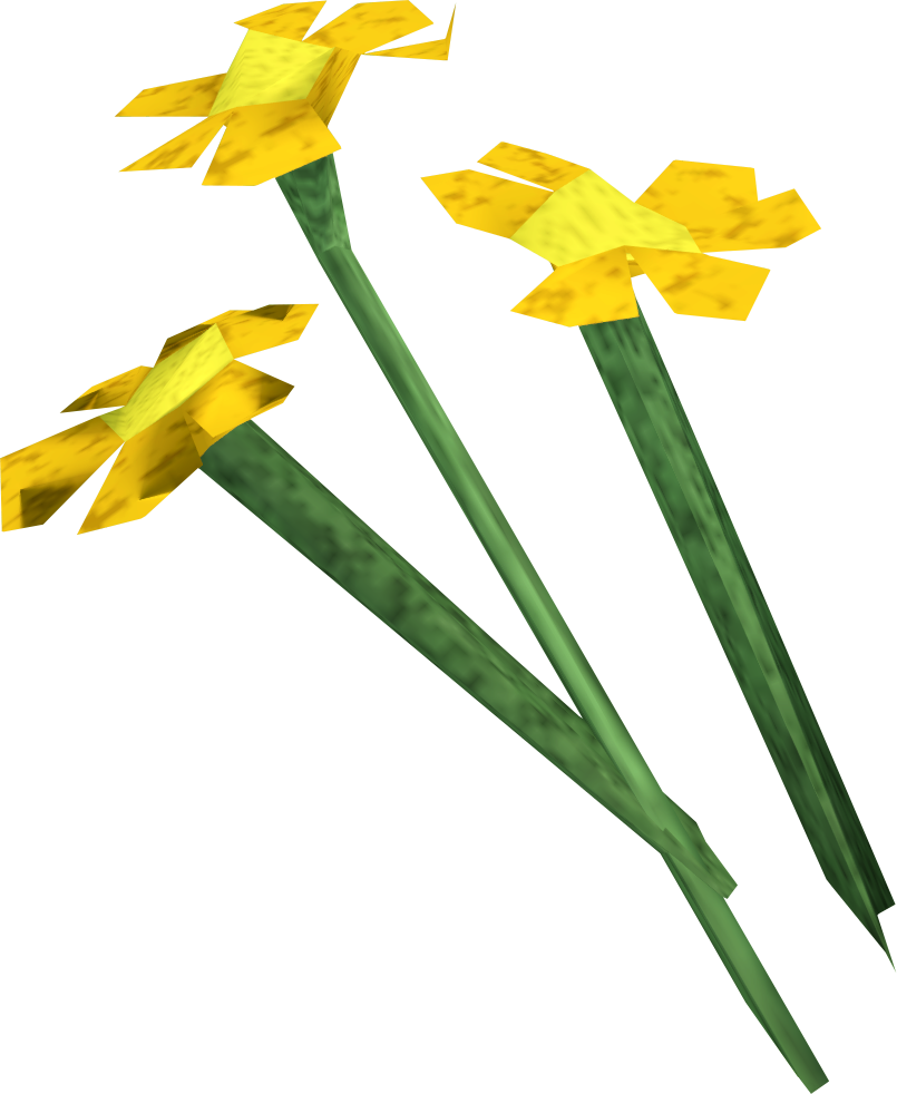 Yellow Narcissus Flowers3 D Rendering PNG