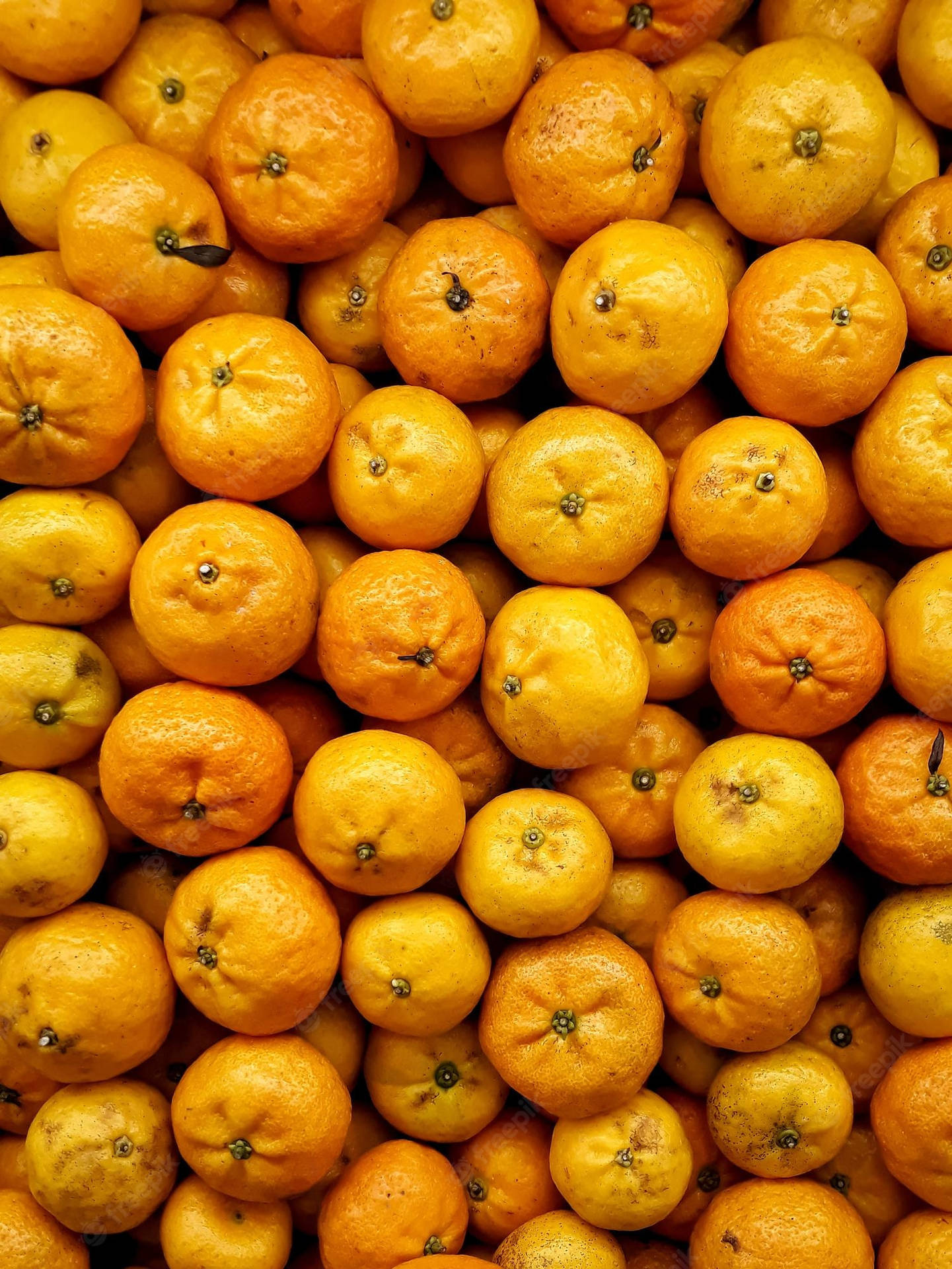 Yellow-Orange Satsuma Mandarins Wallpaper