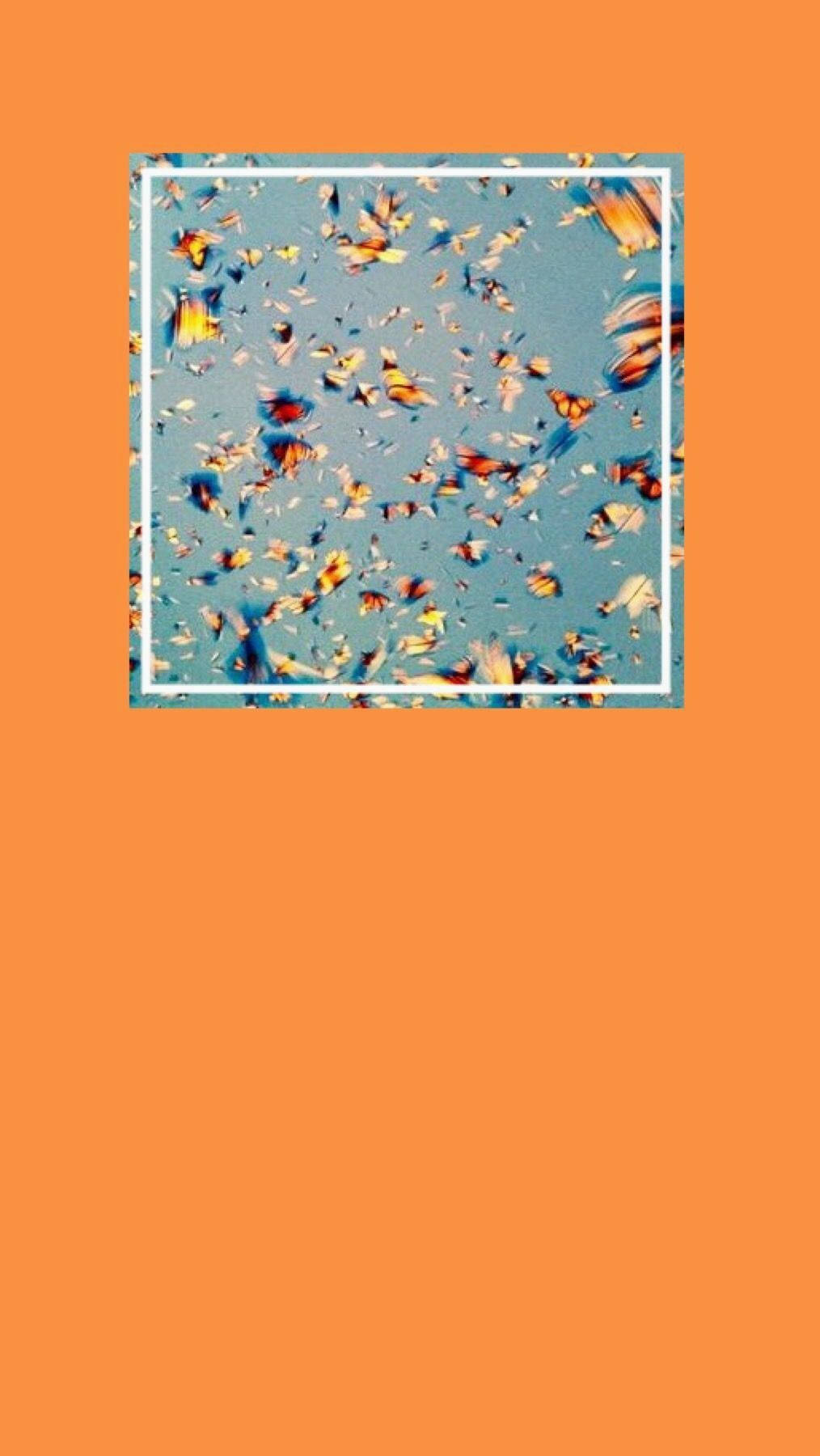 Yellow Orange Vsco Cover Wallpaper