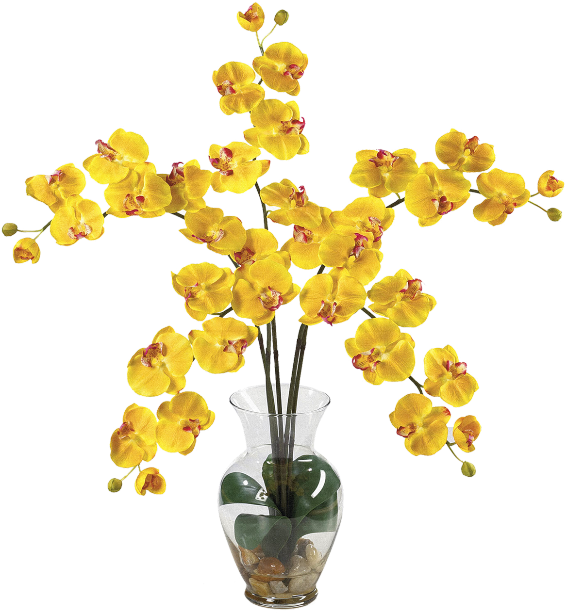 Yellow Orchidsin Glass Vase PNG